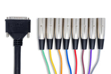 Load image into Gallery viewer, HOSATECH DTM-803 Balanced Snake DB25 to XLR3M 3M