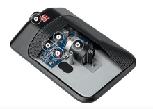 Load image into Gallery viewer, sE Electronics BL8 omni