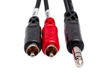 Load image into Gallery viewer, HosaTech TRS-203 Insert Cable 1/4 in TRS to Dual RCA (3m)