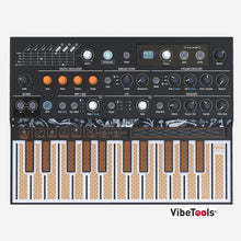 Load image into Gallery viewer, microfreak-top