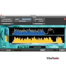 Load image into Gallery viewer, SynchroArts Vocalign