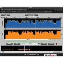 Load image into Gallery viewer, SynchroArts Vocalign 2