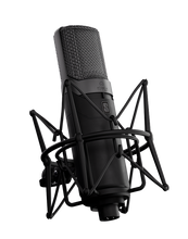 Load image into Gallery viewer, Slate Digital ML-1A Modeling Microphone
