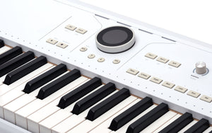 Arturia AstroLab 61 Avant-garde Stage Keyboard