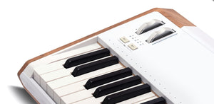 Arturia AstroLab 61 Avant-garde Stage Keyboard