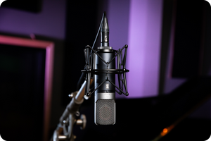 Slate Digital ML-1A Modeling Microphone