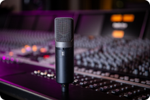 Load image into Gallery viewer, Slate Digital ML-1A Modeling Microphone
