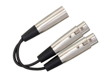 Load image into Gallery viewer, HOSATECH YXF-119 Y Cable Dual XLR3F to XLR3M
