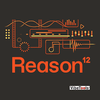 Reason 12