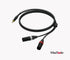 ProCab PRA712 3.5 mm male stereo - 2 x XLR male